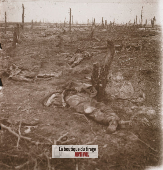 Chemin des Dames, cadavres guerre WW1, plaque verre stéréo, photo 4,5x10,7 cm