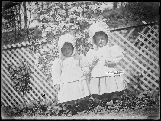 Plaque verre photo ancienne négatif noir et blanc 9x12 cm petites filles jardin