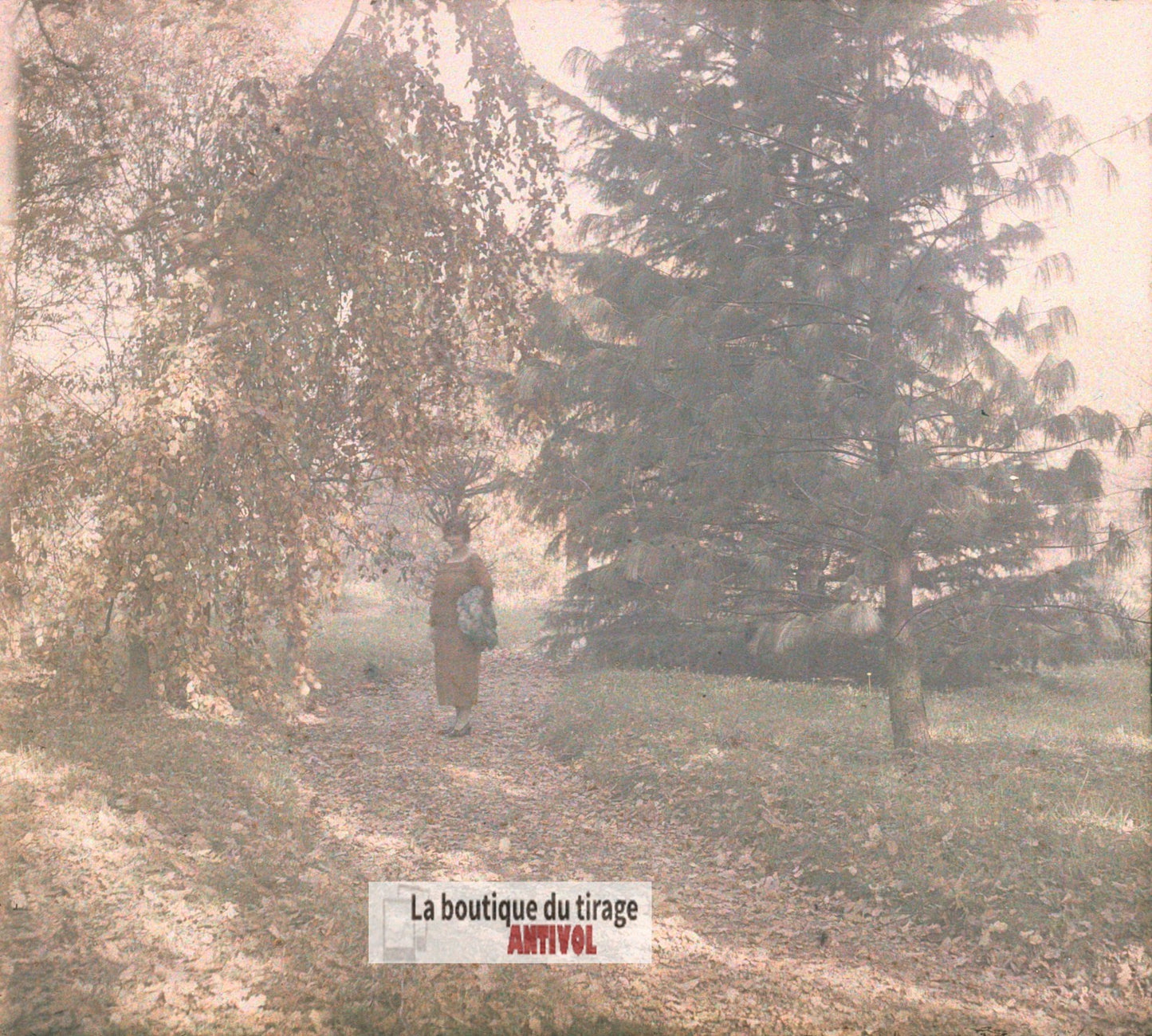 Promenade automne Écully, plaque verre, photo ancienne stéréo 6x13 cm Autochrome
