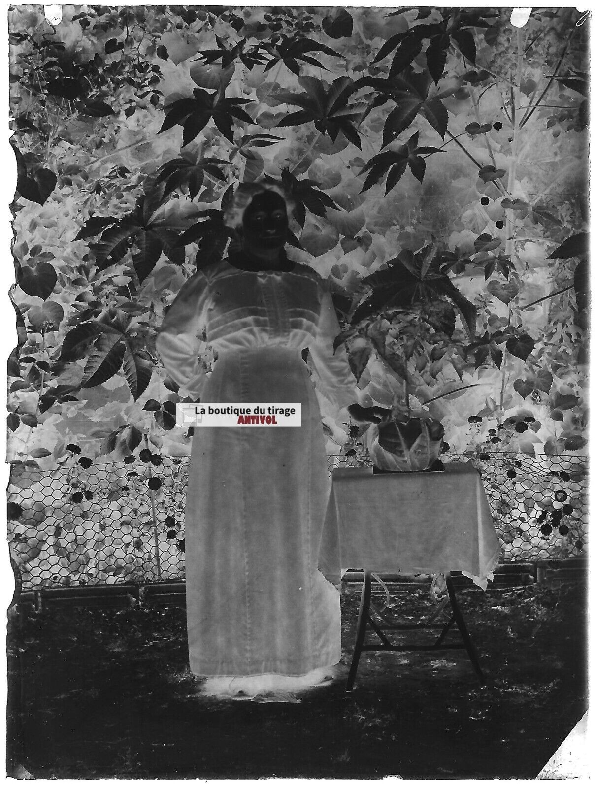 Plaque verre photo ancienne négatif noir et blanc 9x12 cm femme robe vintage 