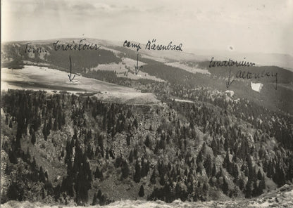 Plaque verre photo ancienne négatif noir et blanc 13x18 cm Hautes-Vosges paysage