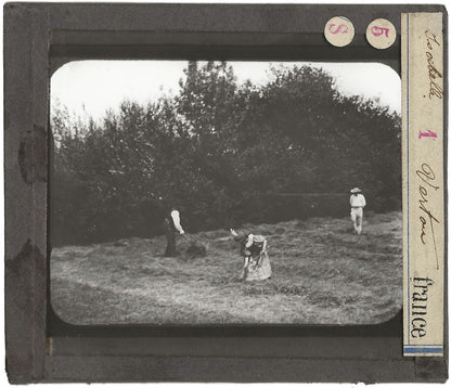 Vertou, ouvriers agricoles, photo ancienne plaque de verre, positif 8,5x10 cm