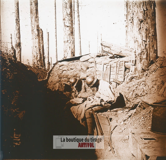 Chasse aux totos, guerre WW1, plaque verre photo ancienne stéréo 6x13 cm