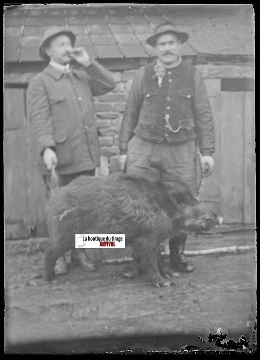 Chasse, sanglier, Plaque verre photo, négatif ancien noir & blanc 6x9 cm