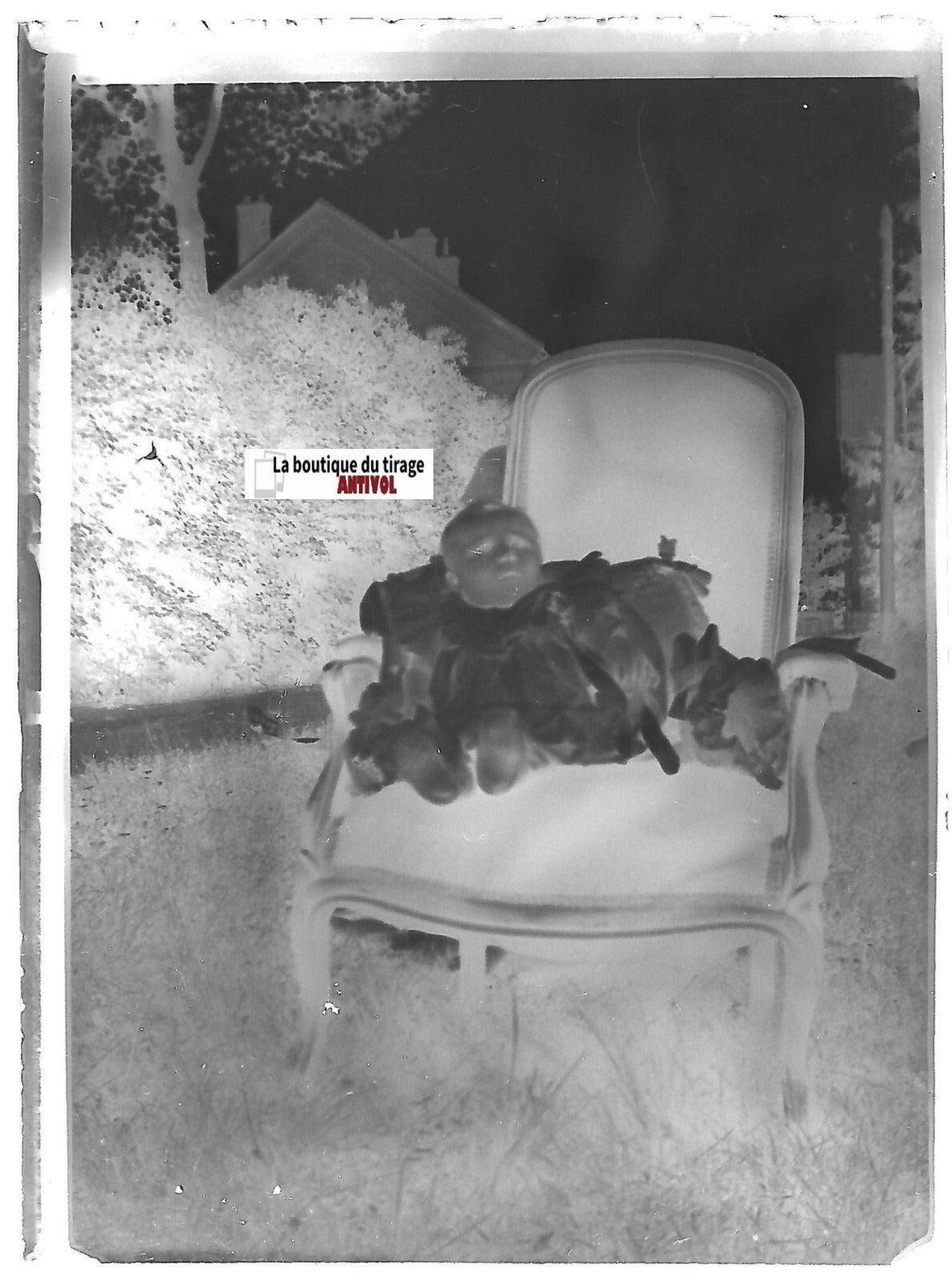 Bébé, fauteuil, Plaque verre photo ancienne, négatif noir & blanc 6x9 cm