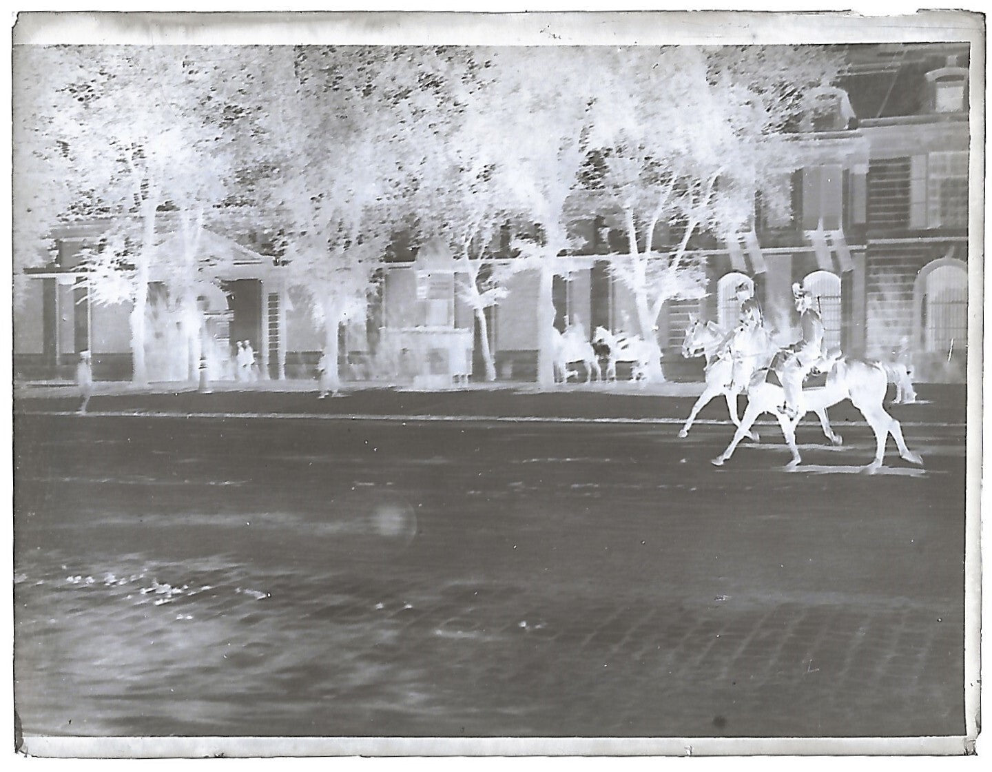 Bailly, Renard, chevaux, photos plaque de verre, lot de 10 négatifs 4x6 cm