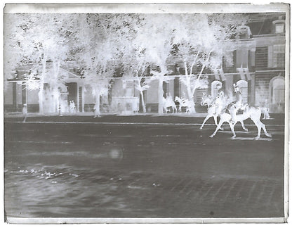 Bailly, Renard, chevaux, photos plaque de verre, lot de 10 négatifs 4x6 cm