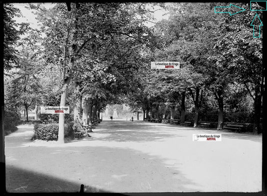 Plaque verre photo ancienne négatif noir et blanc 13x18 cm Colmar parc public