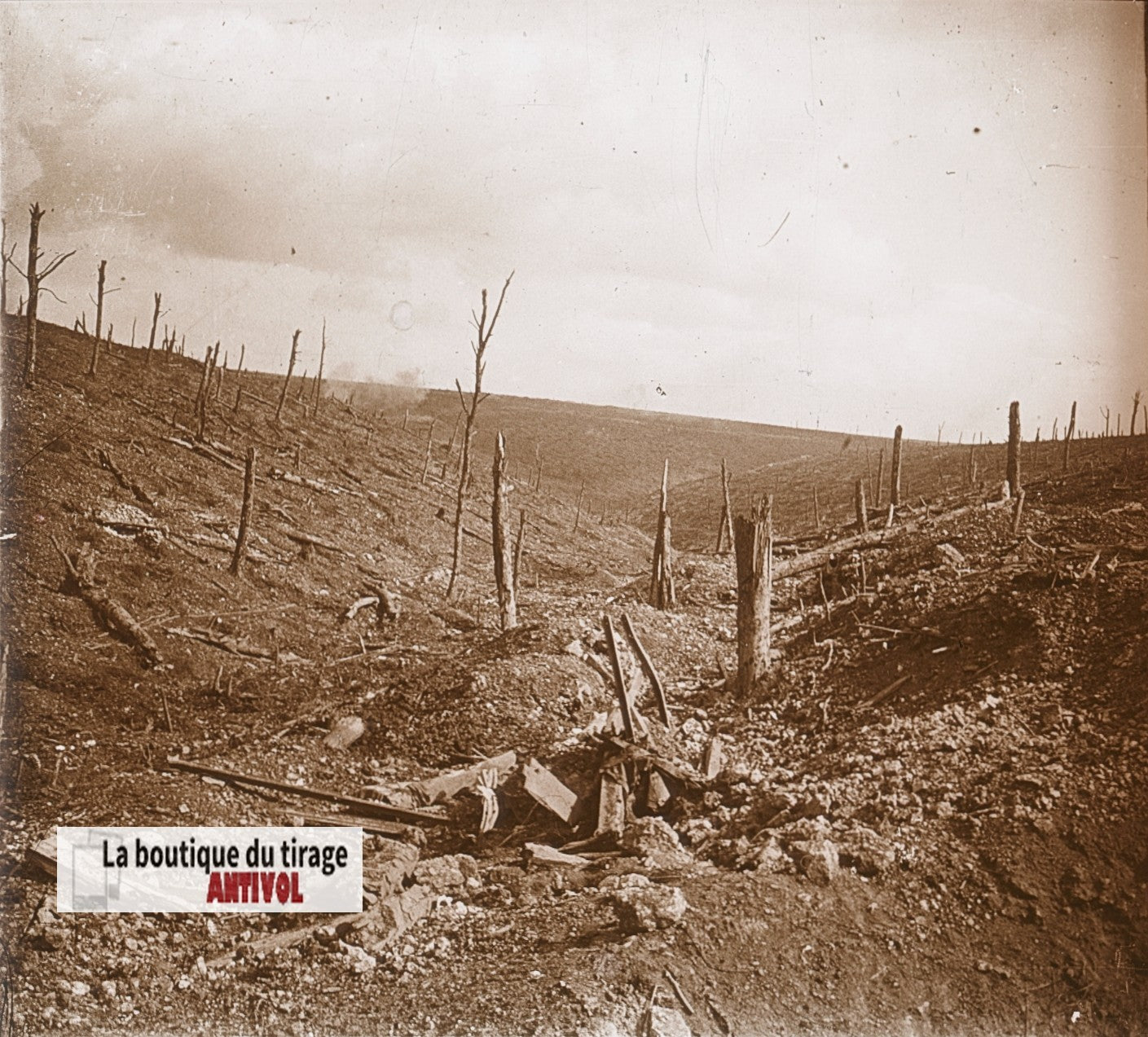 Bois des Caurières, Verdun, WW1, plaque verre, photo ancienne stéréo 6x13 cm