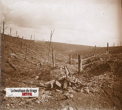 Bois des Caurières, Verdun, WW1, plaque verre, photo ancienne stéréo 6x13 cm