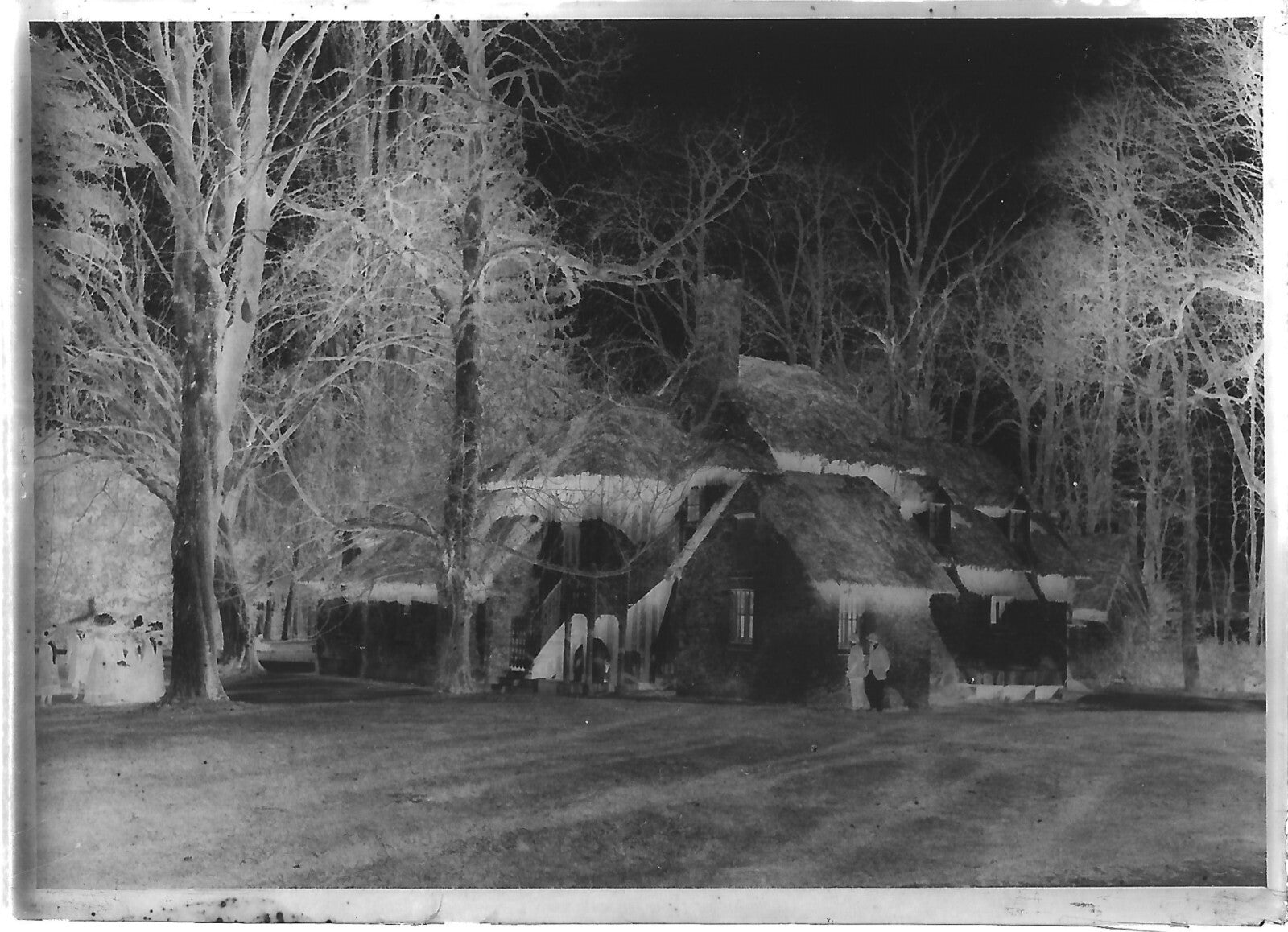 Plaque verre photo ancienne négatif 6x9 cm Trianon Versailles Parc, arbres