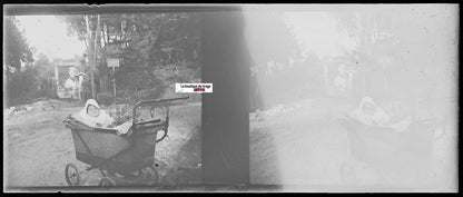 Forêt, bébé, Plaque verre photo stéréoscopique, négatif noir & blanc 4,5x10,7 cm