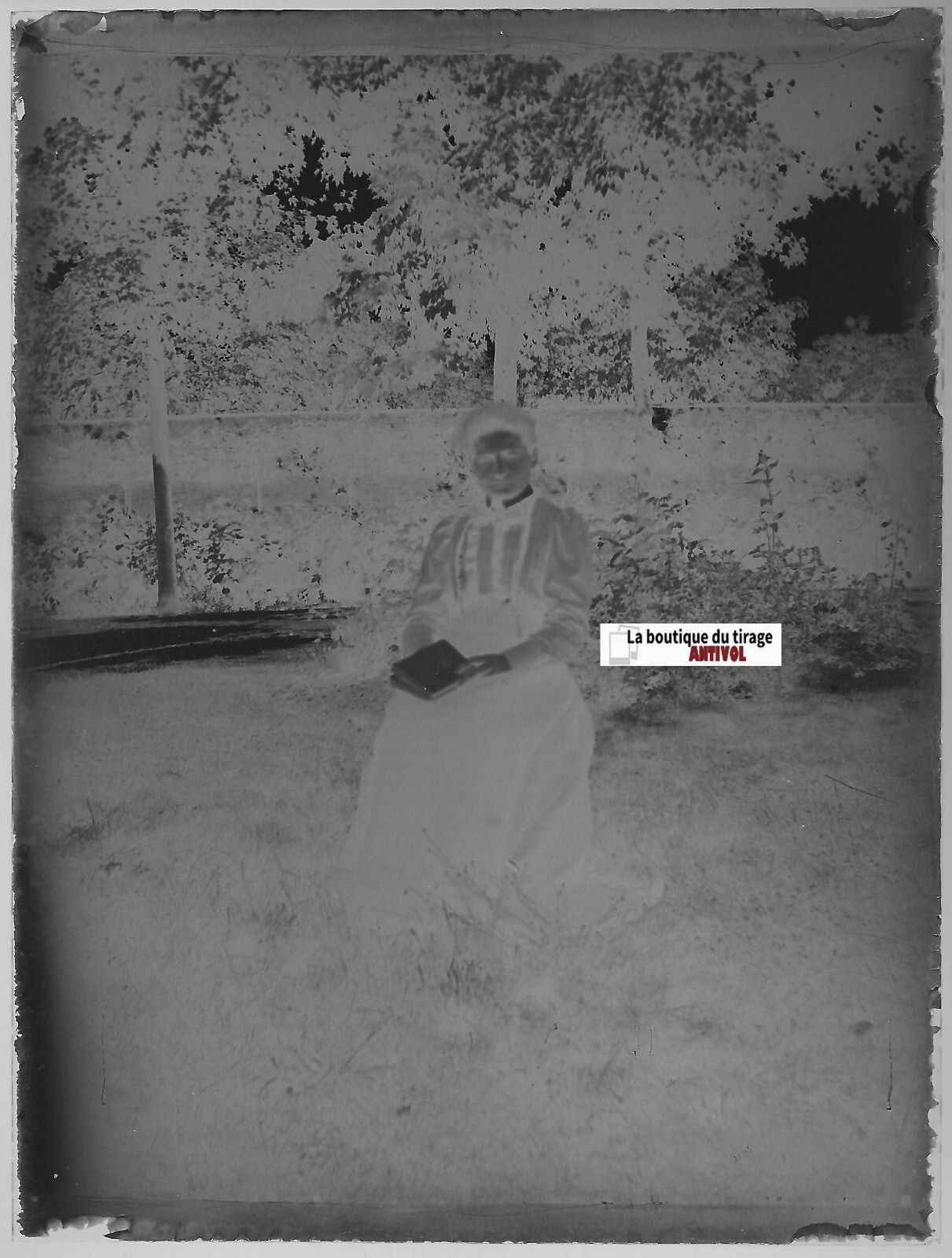 Jardin, dame, Plaque verre photo ancienne, négatif noir & blanc 9x12 cm