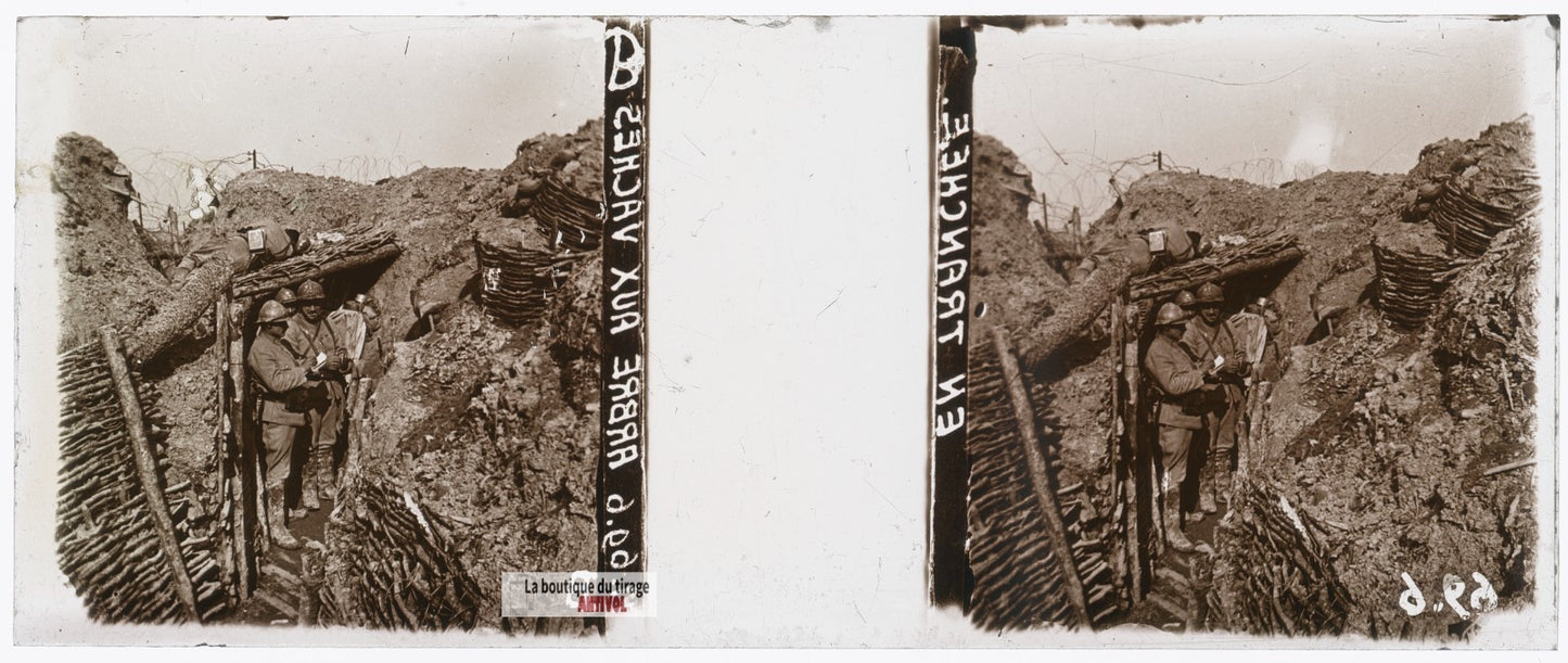 Arbre aux Vaches, tranchée guerre WW1, plaque verre stéréo, photo 4,5x10,7 cm