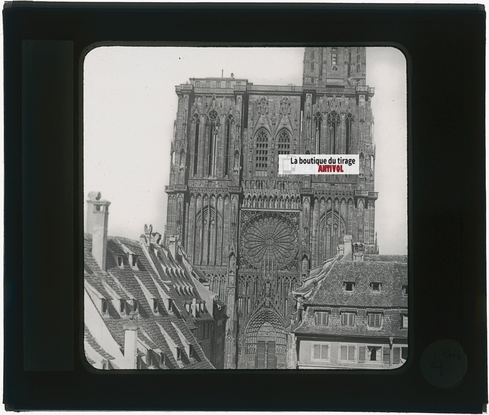 Cathédrale de Strasbourg, photo plaque verre, noir & blanc, positif 8,5x10 cm
