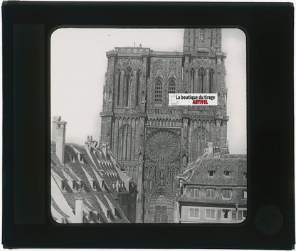Cathédrale de Strasbourg, photo plaque verre, noir & blanc, positif 8,5x10 cm