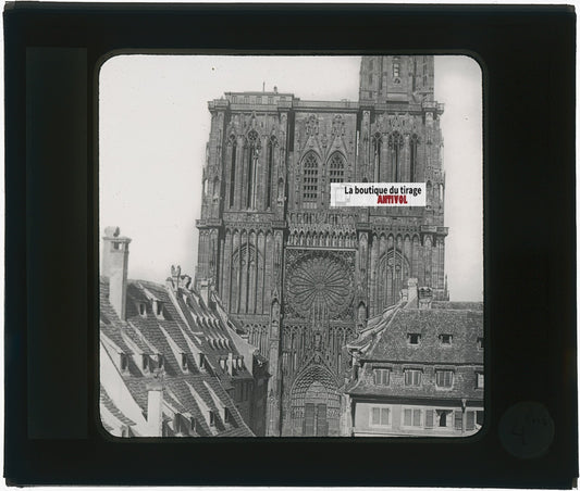 Cathédrale de Strasbourg, photo plaque verre, noir & blanc, positif 8,5x10 cm