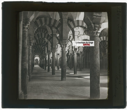 Mosquée, Cordoue, photo plaque de verre, noir & blanc, positif 8,5x10 cm