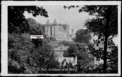 Plaque verre photo vintage, négatif noir & blanc 9x14 cm, château Pau, parc