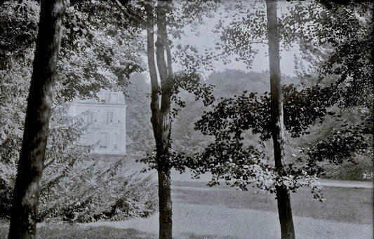 Plaque verre photo ancienne négatif 9x14 cm, noir et blanc château foret vintage