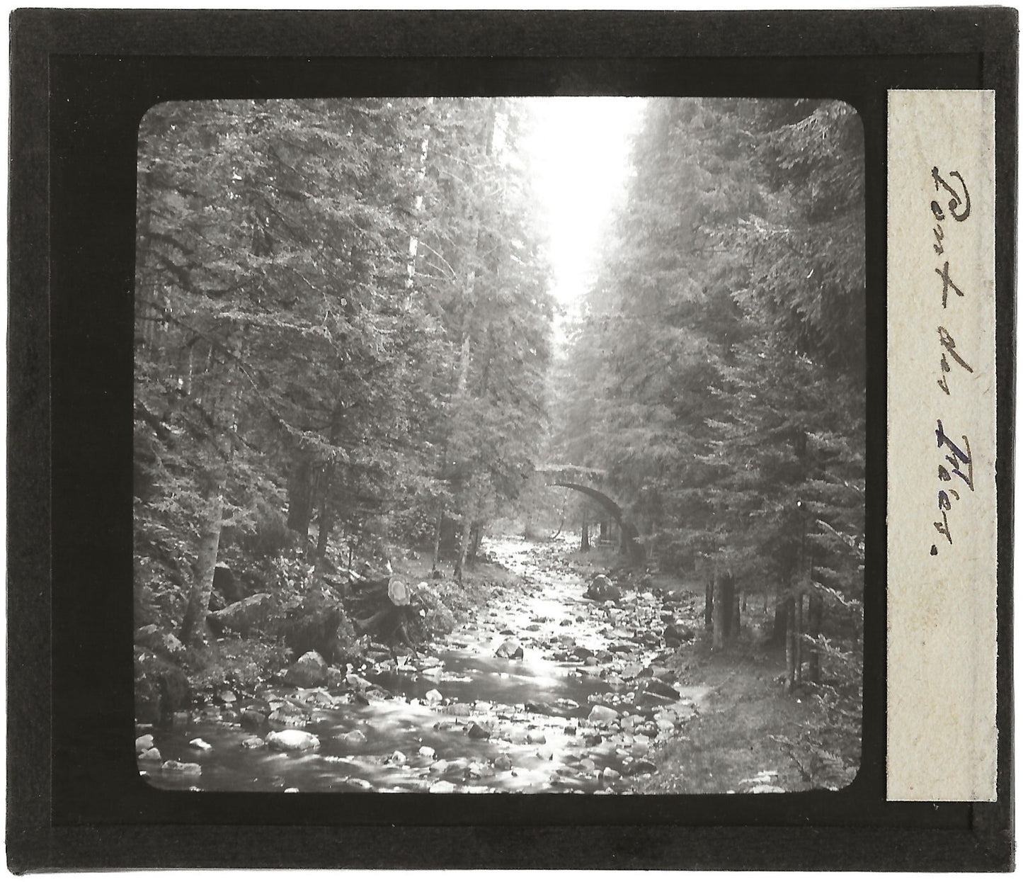 Pont des Fées, Gérardmer, Vosges, photo plaque de verre, positif 8,5x10 cm