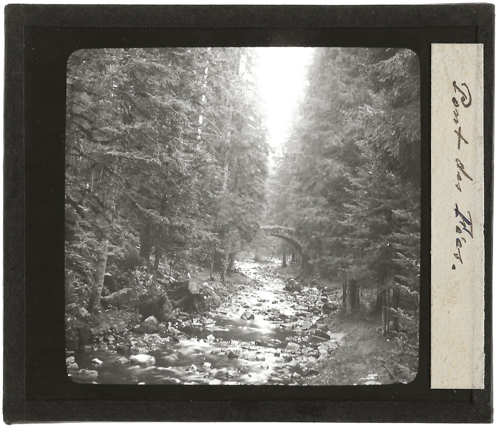 Pont des Fées, Gérardmer, Vosges, photo plaque de verre, positif 8,5x10 cm
