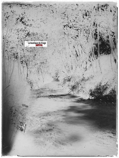 Rivière, paysage, eau, Plaque verre photo ancienne, négatif noir & blanc 9x12 cm