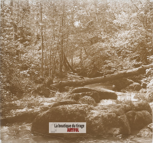 Ruisseau forestier et tronc renversé, plaque verre photo ancienne stéréo 6x13 cm