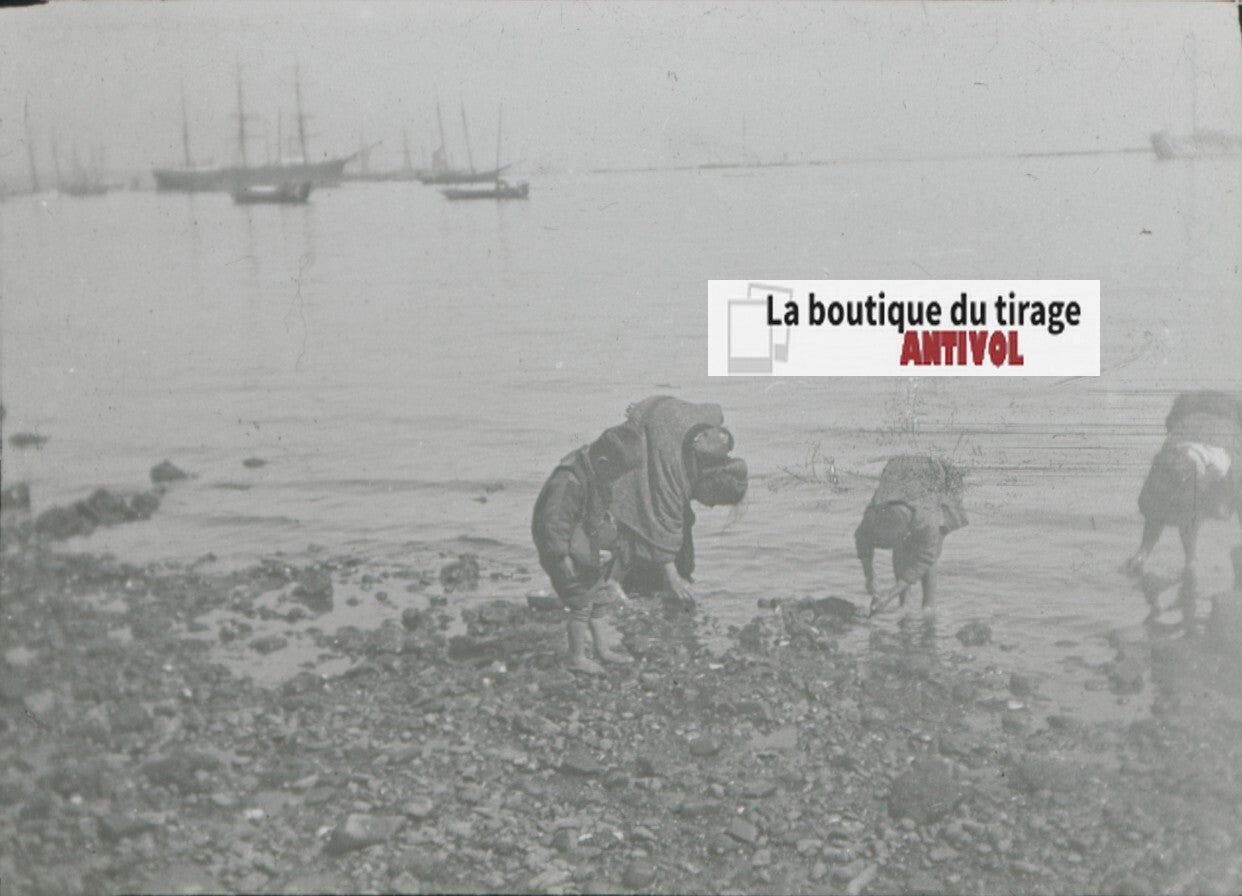 Yokohama, Japon, bateaux, photo plaque verre, noir & blanc, positif 8,5x10 cm