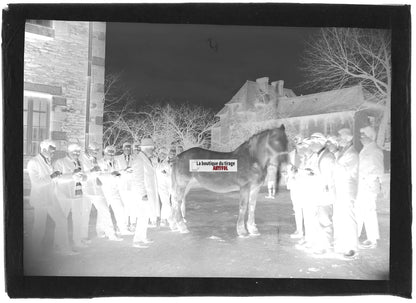 Plaque verre photo ancienne négatif noir et blanc 13x18 cm école d'agriculture