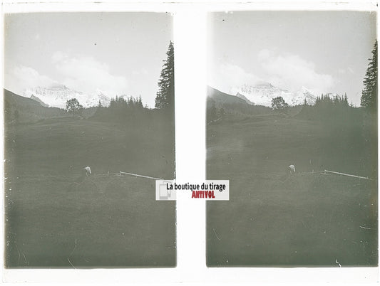 Paysage alpin, Alpes Suisse, stéréo photo plaque verre, noir & blanc, 9x12 cm