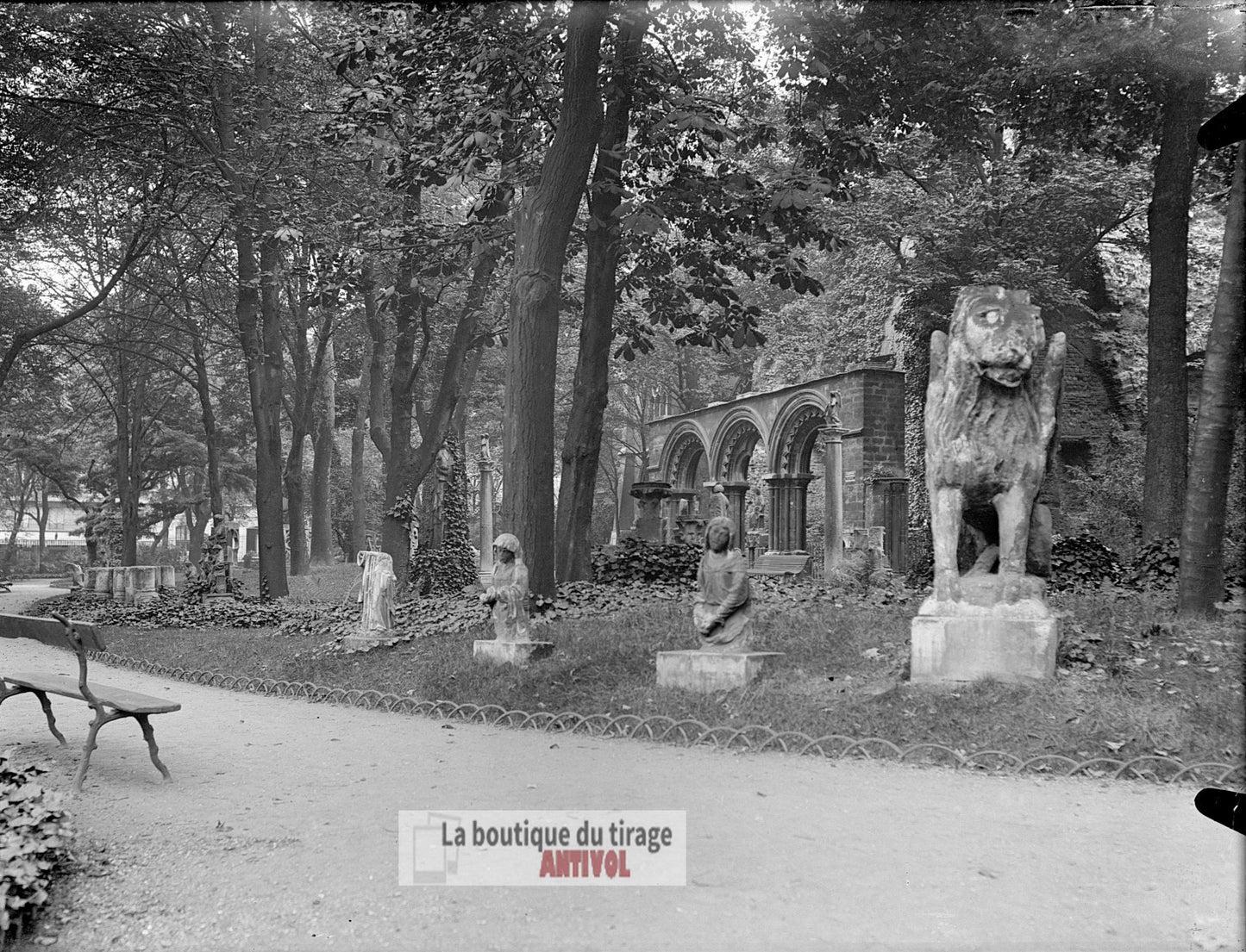 Jardin du Musée de Cluny, Paris, plaque verre, photo ancienne, négatif 9x12 cm