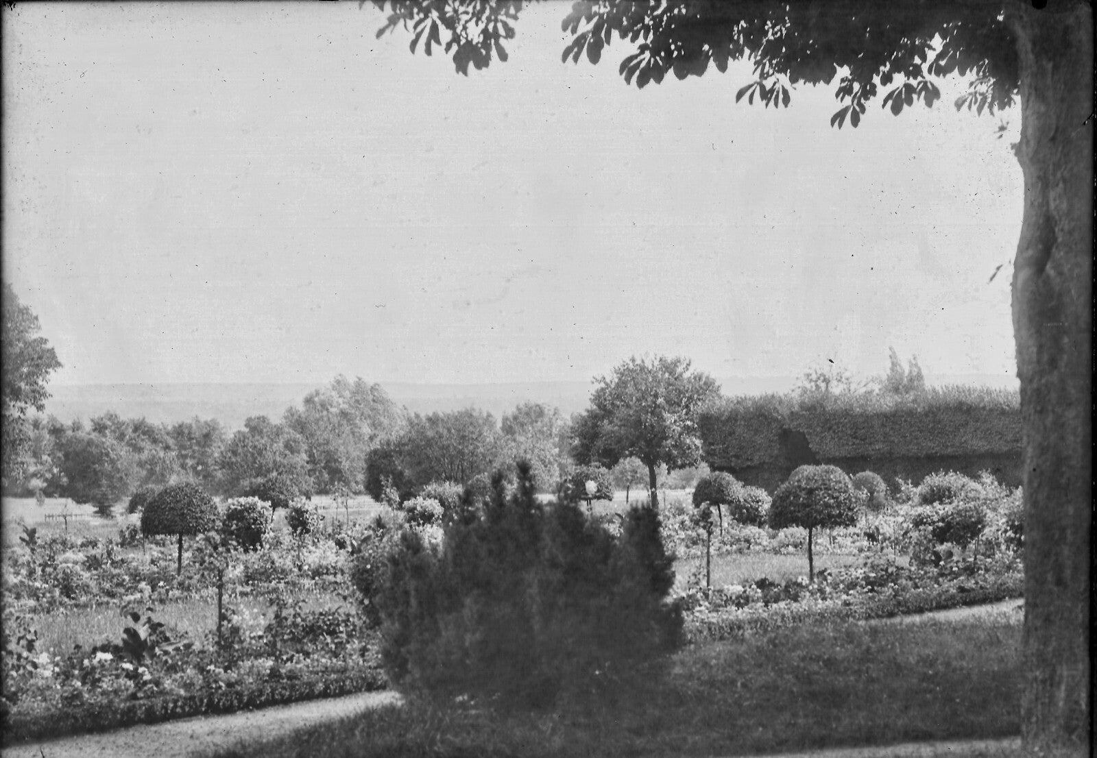 Plaque verre photo ancienne négatif 13x18 cm paysage jardin arbres, château 