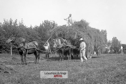 Scène dans la campagne française, plaque verre, photo ancienne, négatif 9x12 cm