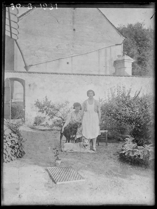 Plaque verre photo ancienne négatif noir et blanc 9x12 cm femme chiens France 