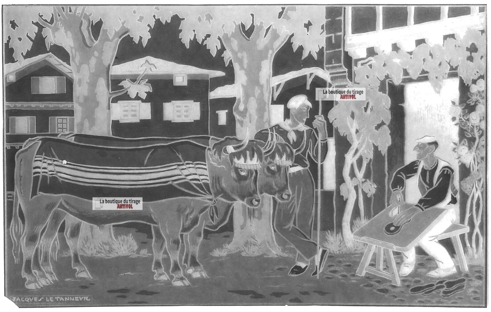 Plaque verre photo négatif noir et blanc 13x18 cm Jacques Le Tanneur 1318660