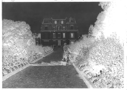 Plaque verre photo ancienne négatif noir et blanc 6x9 cm âne jeu garçon château