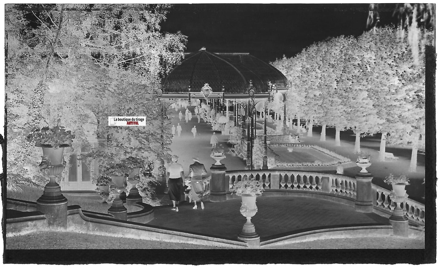 Vittel, escalier Grand Hôtel, Plaque verre photo, négatif noir & blanc 6x11 cm
