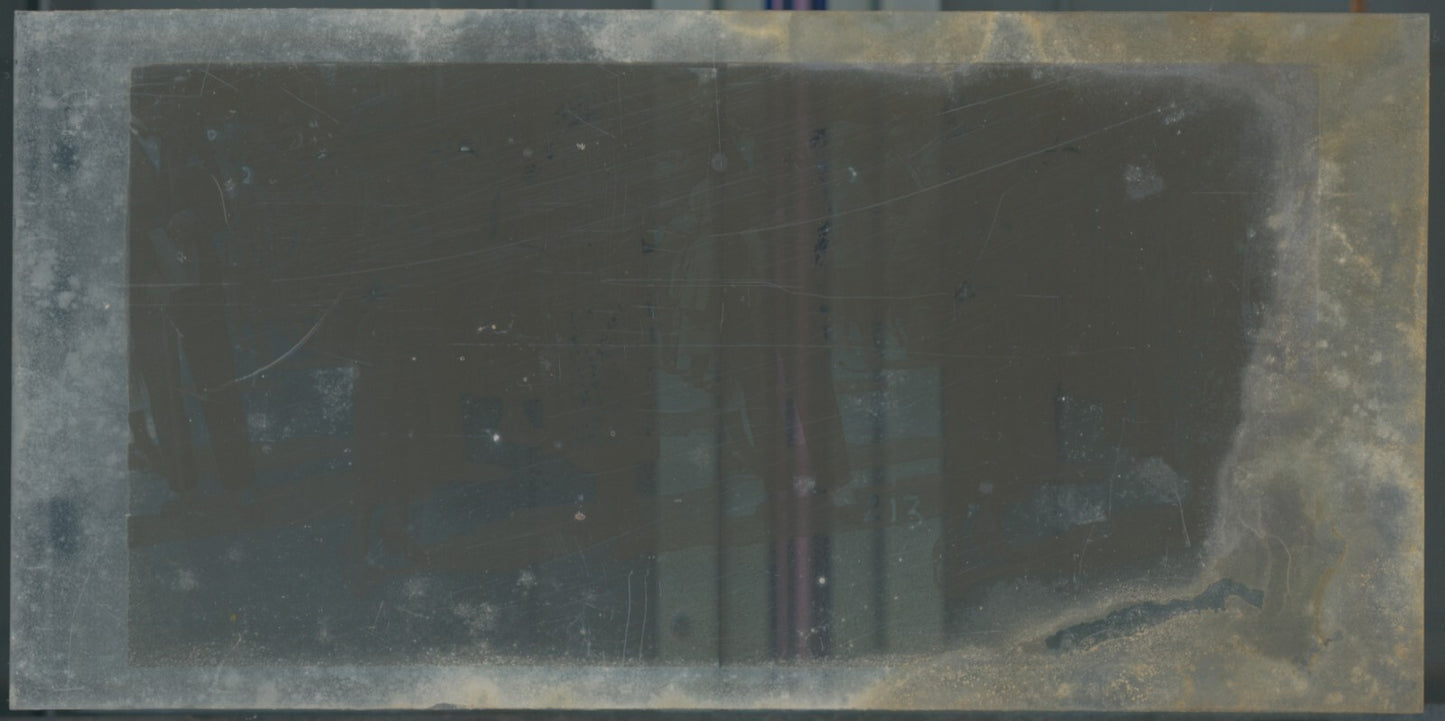 Scène de vie, Longchamp, Paris, plaque verre stéréoscopique, positif 8,5x17 cm