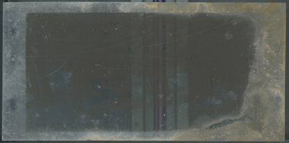 Scène de vie, Longchamp, Paris, plaque verre stéréoscopique, positif 8,5x17 cm