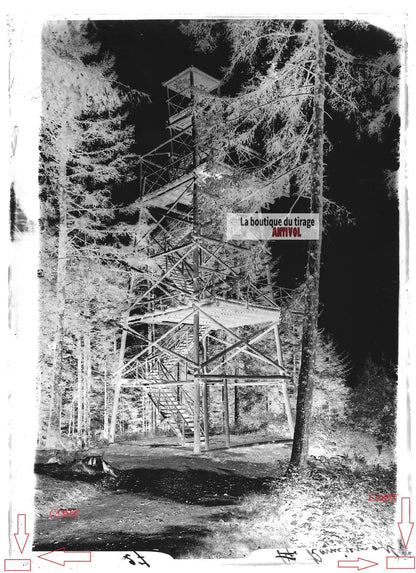 Plaque verre photo ancienne négatif noir et blanc 13x18 cm Remiremont forêt