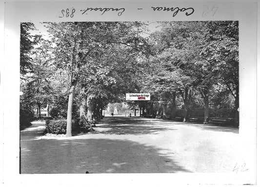 Plaque verre photo positif noir & blanc 13x18 cm Colmar, jardin public, France