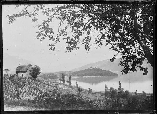 Plaque verre photo ancienne négatif 6x9 cm vigne lac Culoz, glass plate 