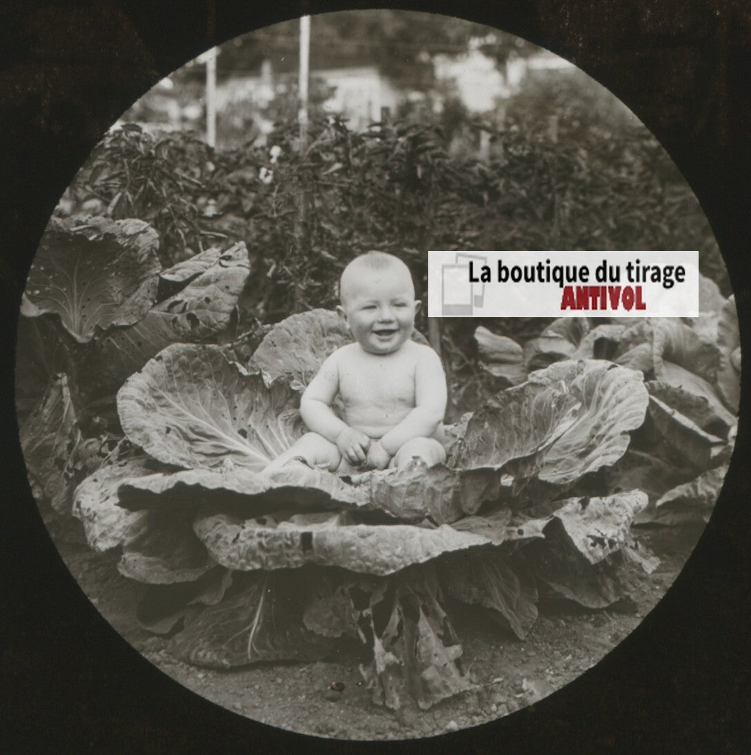 Portrait bébé, photo ancienne plaque verre, noir & blanc, positif 8,5x10 cm