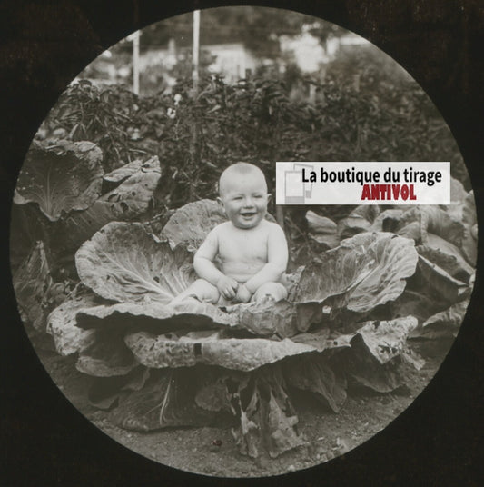 Portrait bébé, photo ancienne plaque verre, noir & blanc, positif 8,5x10 cm