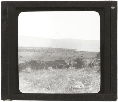 Lac de Tibériade, Israël, photo ancienne plaque de verre, positif 8,5x10 cm