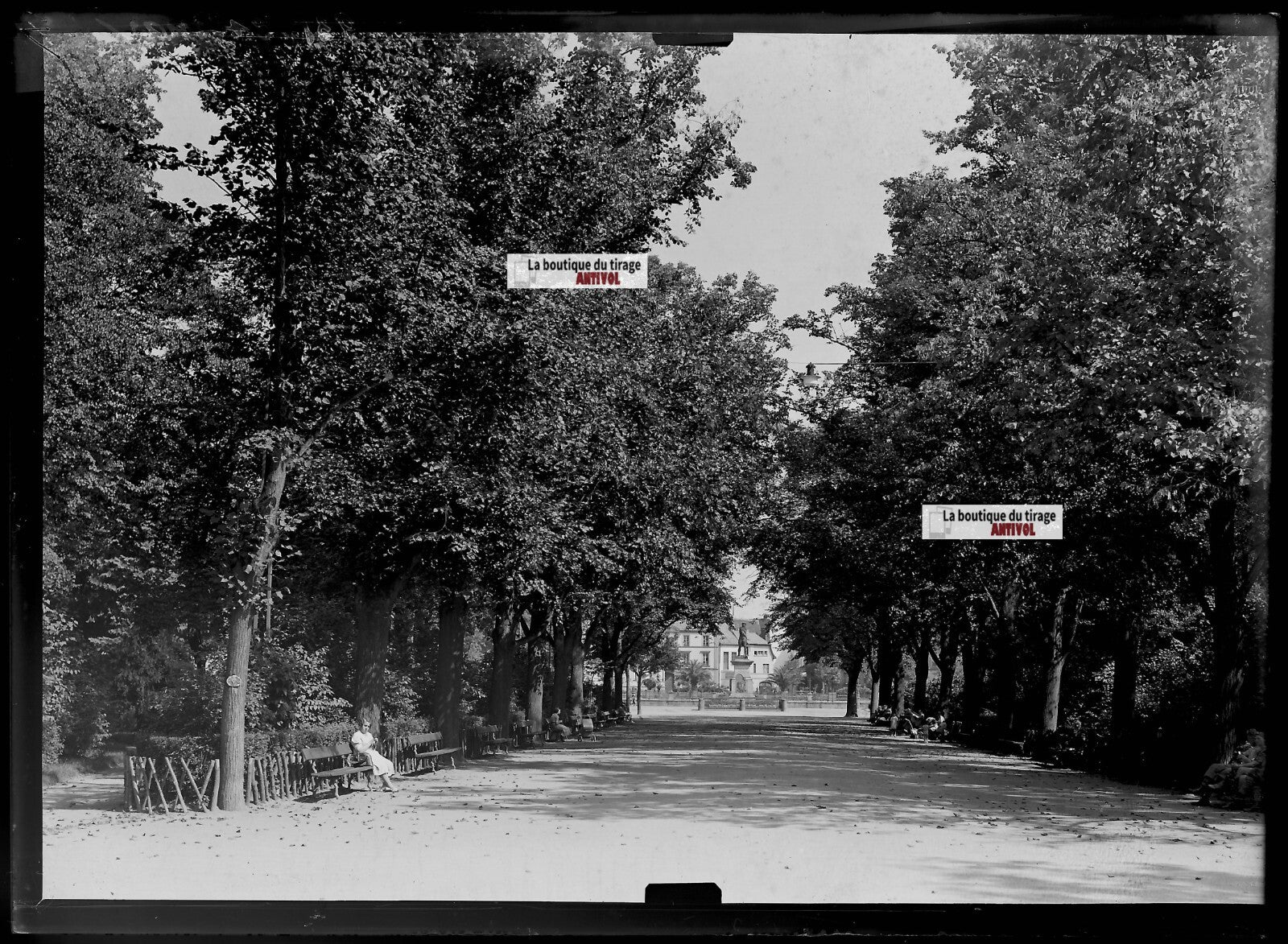 Plaque verre photo ancienne négatif noir et blanc 13x18 cm Colmar jardin public