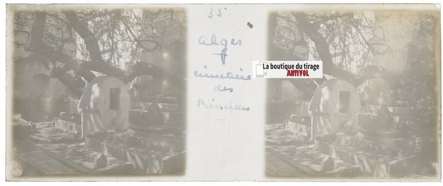 Cimetière, Alger, Algérie, Plaque verre stéréo, positif noir & blanc 4,5x10,7 cm