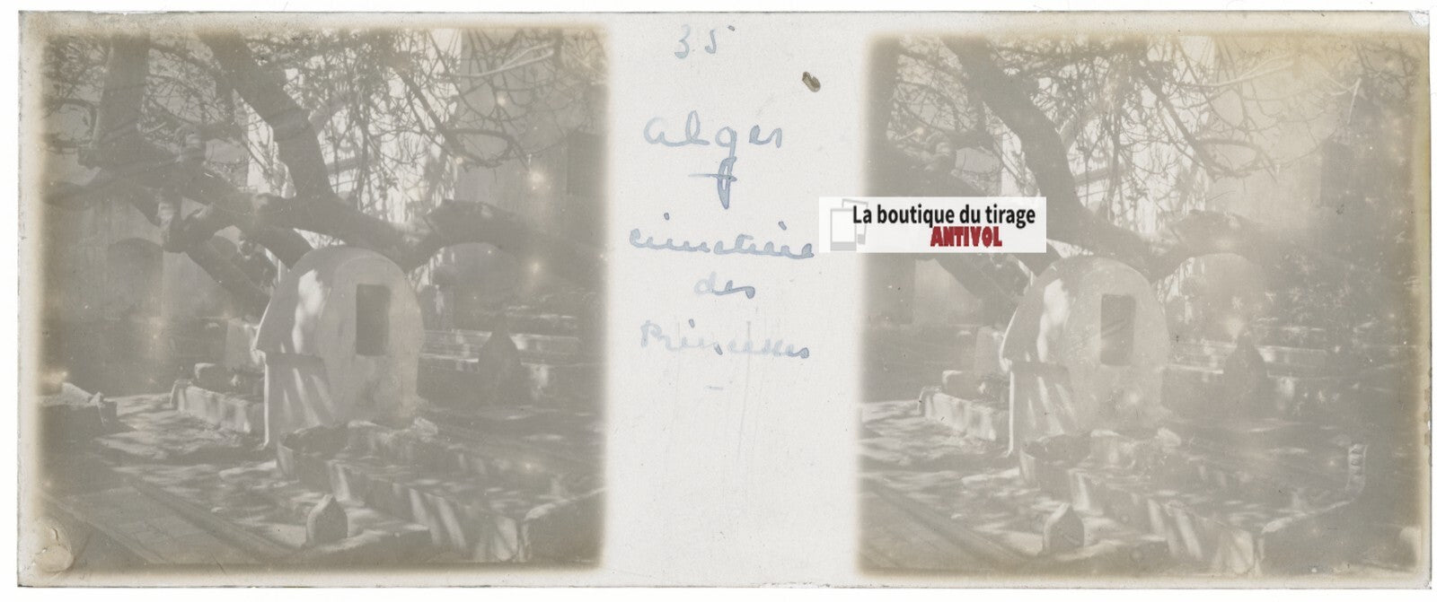 Cimetière, Alger, Algérie, Plaque verre stéréo, positif noir & blanc 4,5x10,7 cm
