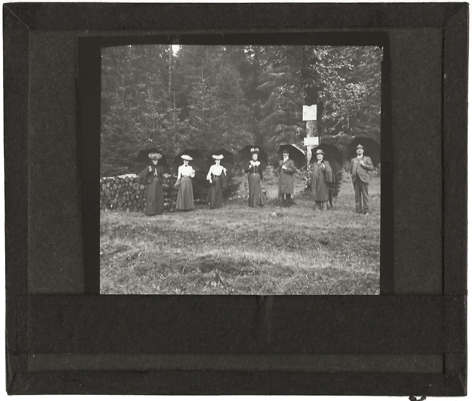 Femmes robe, nature, Gérardmer, Vosges, photo plaque de verre, positif 8,5x10 cm